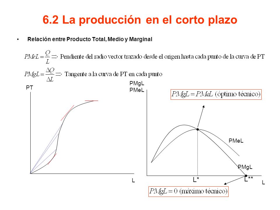 6.2 La producción en el corto plazo