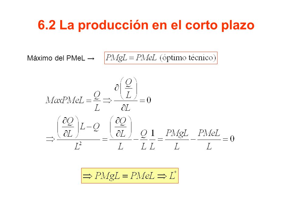 6.2 La producción en el corto plazo