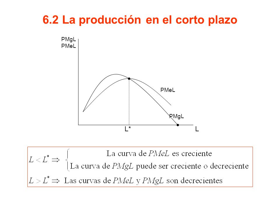 6.2 La producción en el corto plazo