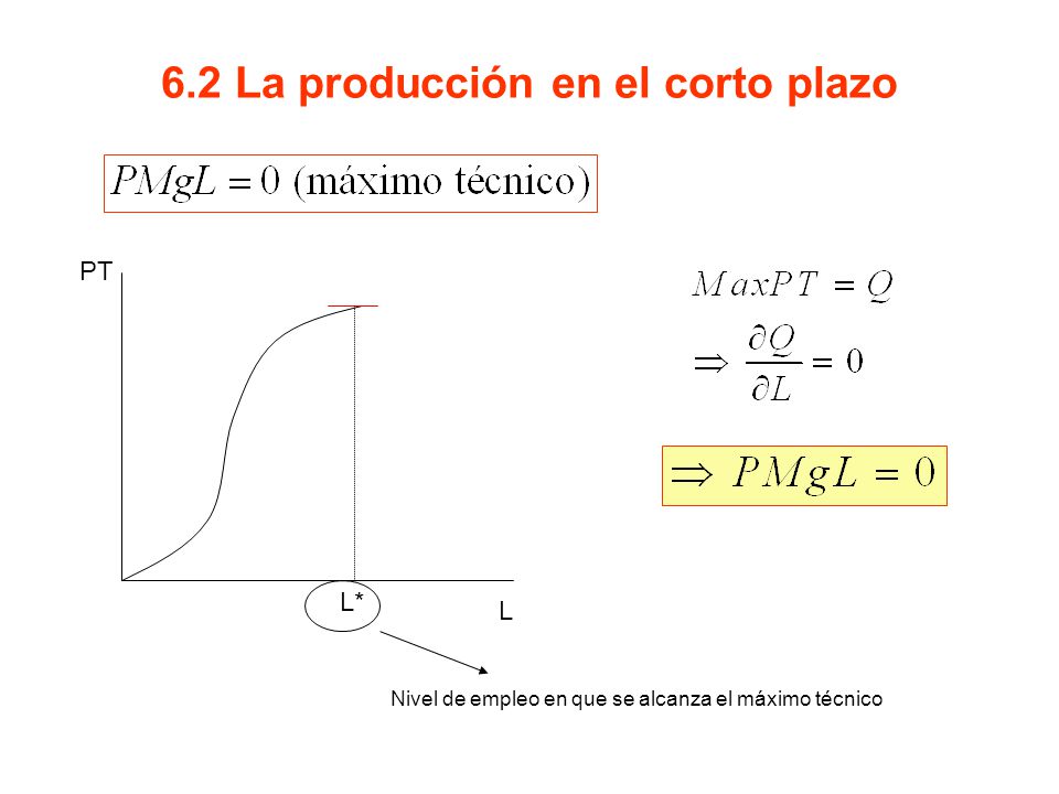 6.2 La producción en el corto plazo