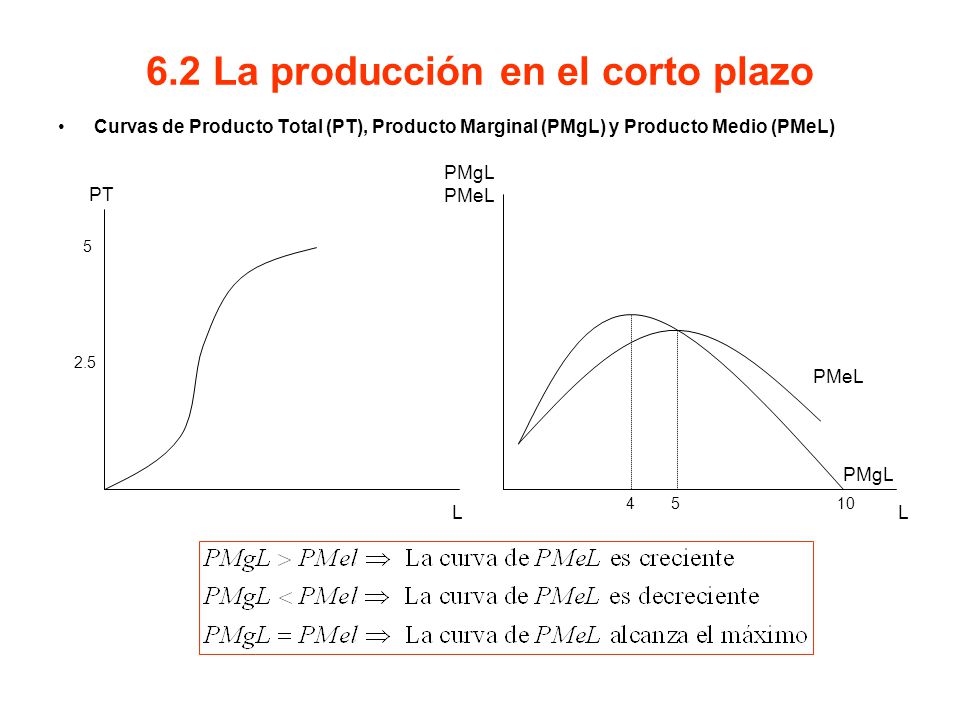6.2 La producción en el corto plazo