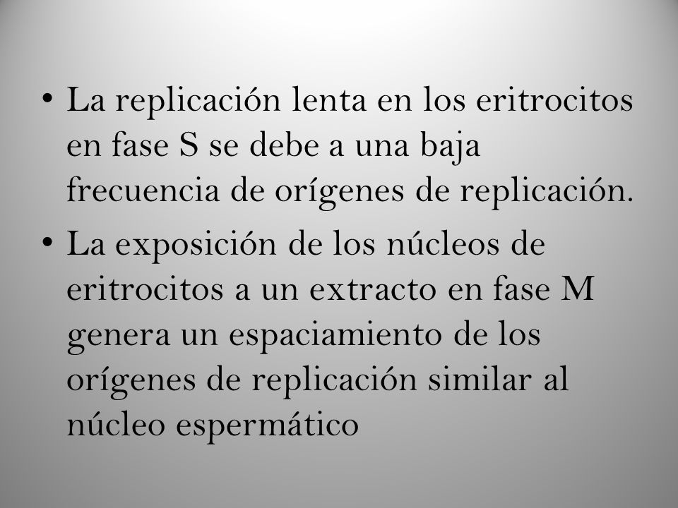 La replicación lenta en los eritrocitos en fase S se debe a una baja frecuencia de orígenes de replicación.