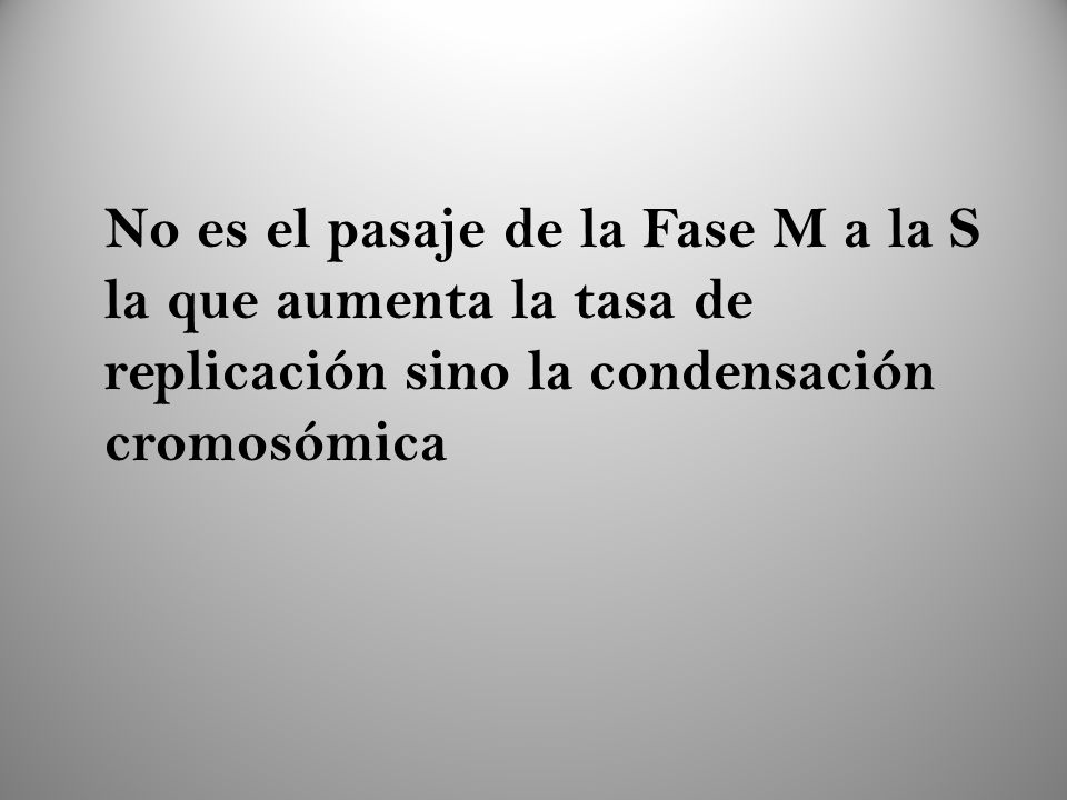 No es el pasaje de la Fase M a la S la que aumenta la tasa de replicación sino la condensación cromosómica