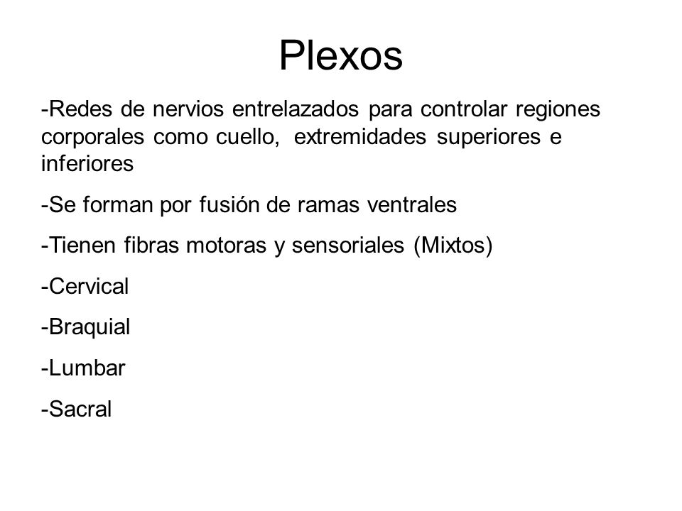 Plexos Redes de nervios entrelazados para controlar regiones corporales como cuello, extremidades superiores e inferiores.