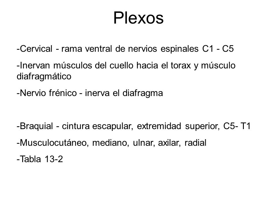 Plexos Cervical - rama ventral de nervios espinales C1 - C5