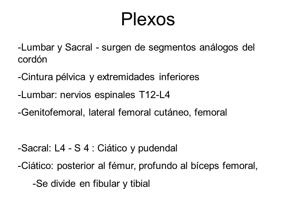 Plexos Lumbar y Sacral - surgen de segmentos análogos del cordón