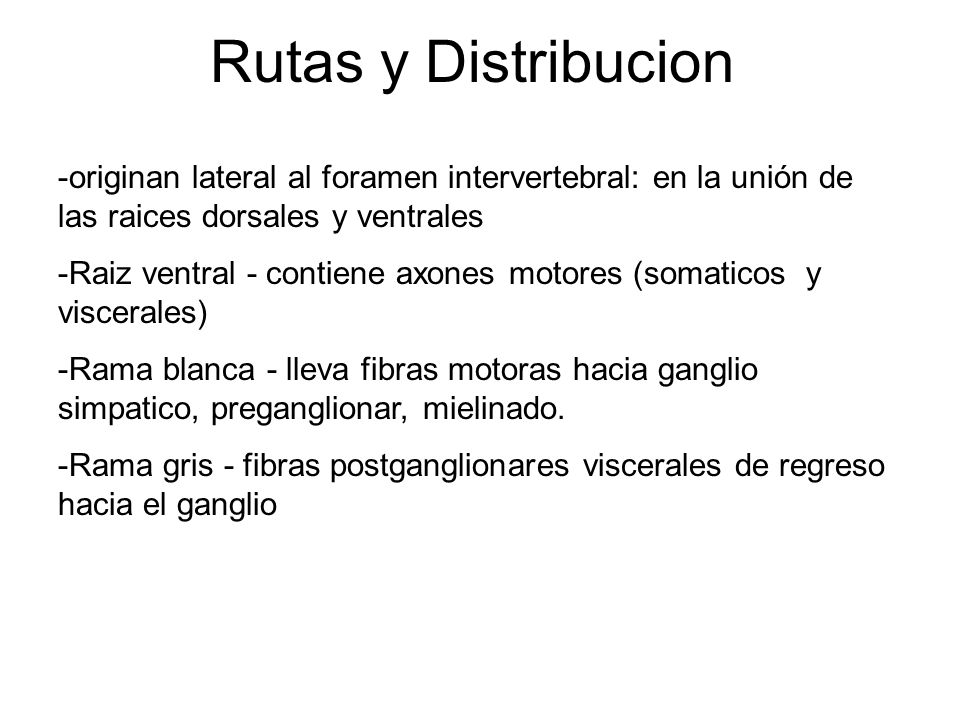 Rutas y Distribucion originan lateral al foramen intervertebral: en la unión de las raices dorsales y ventrales.