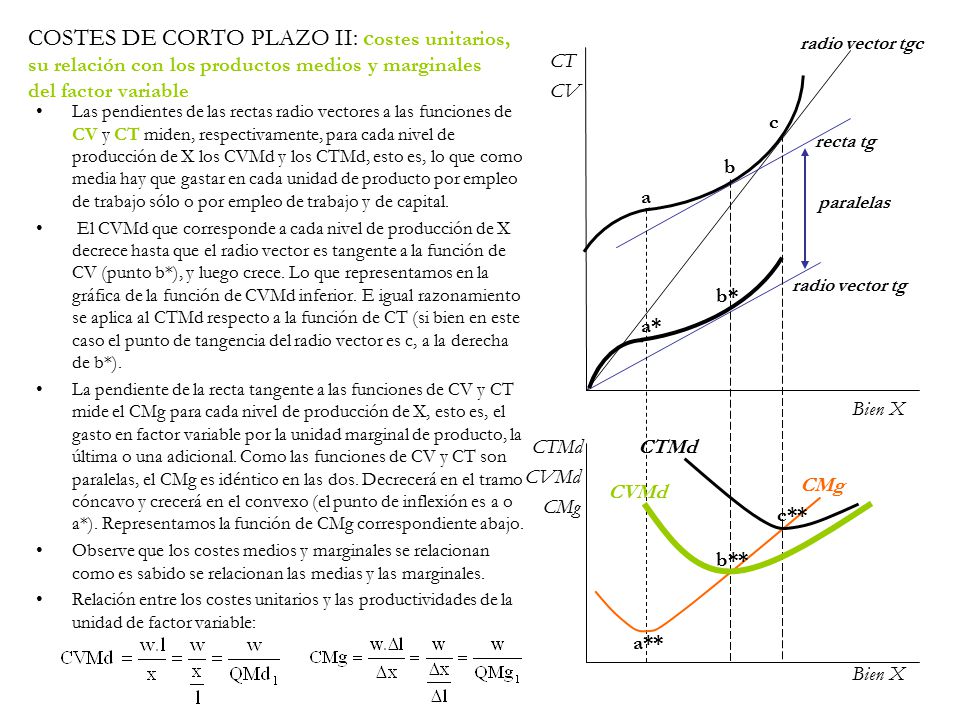 COSTES DE CORTO PLAZO II: costes unitarios, su relación con los productos medios y marginales del factor variable
