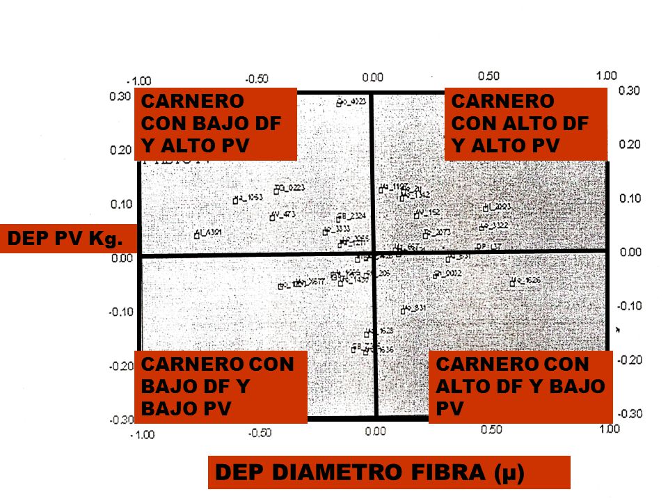 DEP DIAMETRO FIBRA (μ) CARNERO CON BAJO DF Y ALTO PV