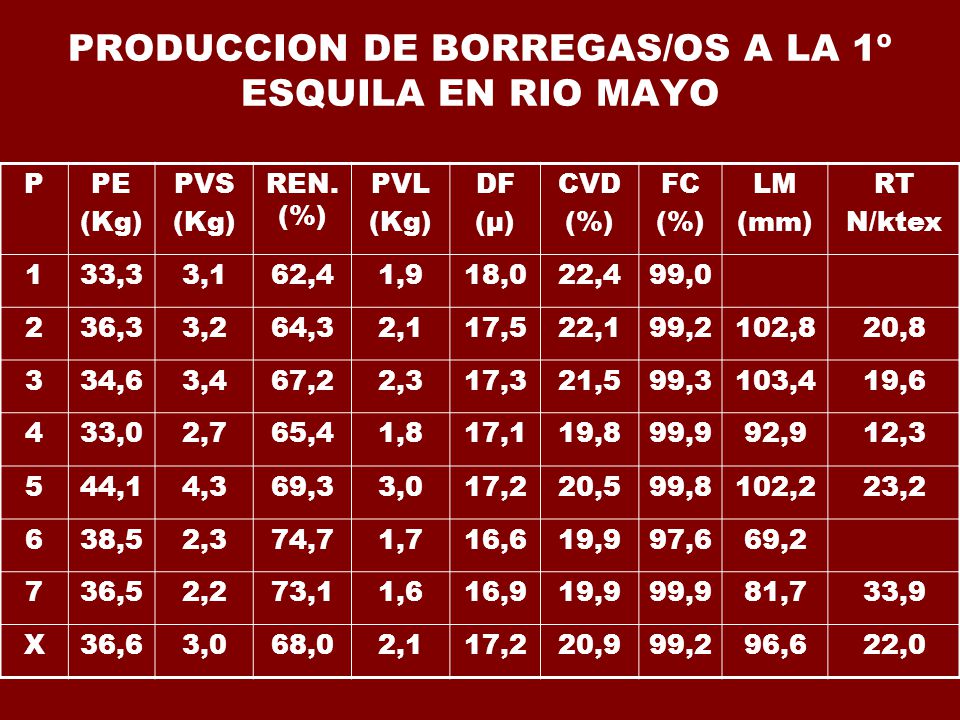 PRODUCCION DE BORREGAS/OS A LA 1º ESQUILA EN RIO MAYO