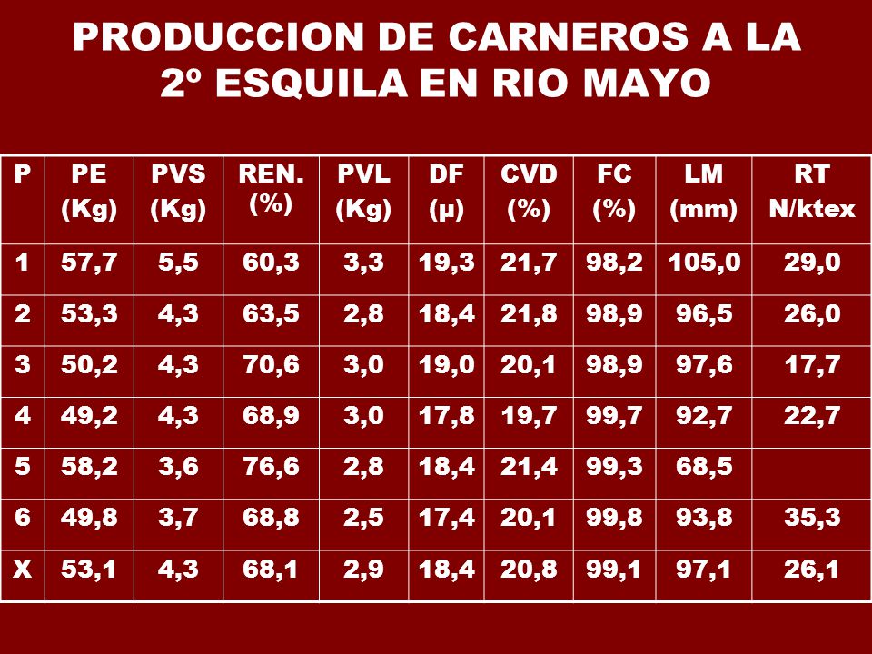 PRODUCCION DE CARNEROS A LA 2º ESQUILA EN RIO MAYO