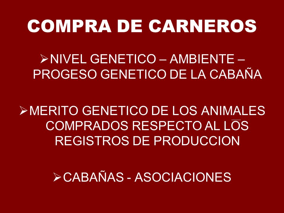 COMPRA DE CARNEROS NIVEL GENETICO – AMBIENTE – PROGESO GENETICO DE LA CABAÑA.