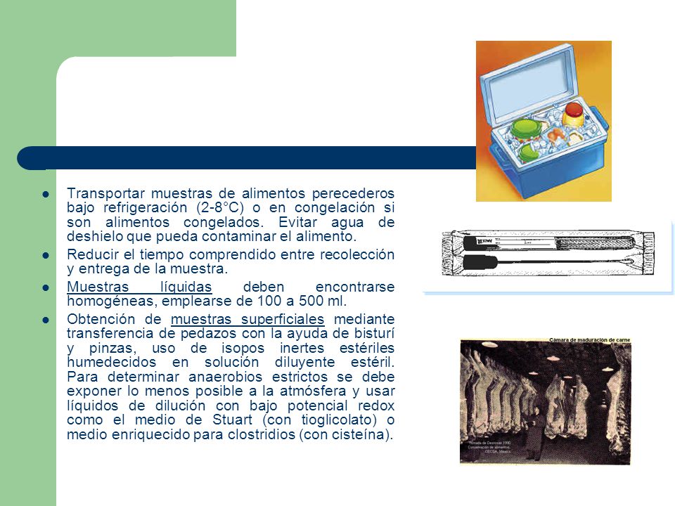 Transportar muestras de alimentos perecederos bajo refrigeración (2-8°C) o en congelación si son alimentos congelados. Evitar agua de deshielo que pueda contaminar el alimento.