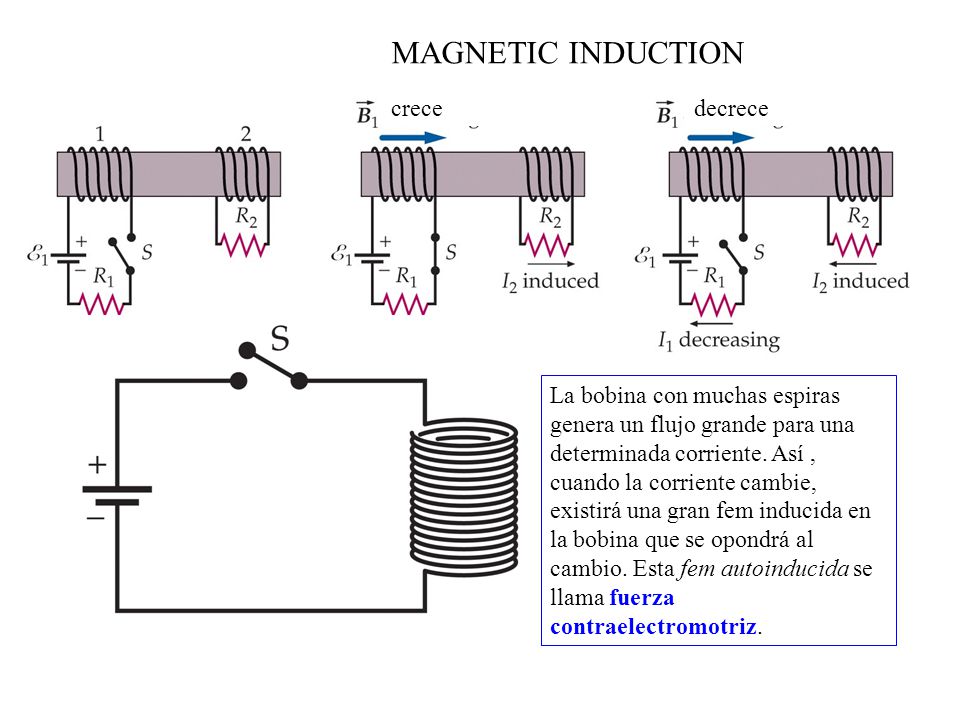 MAGNETIC INDUCTION crece decrece