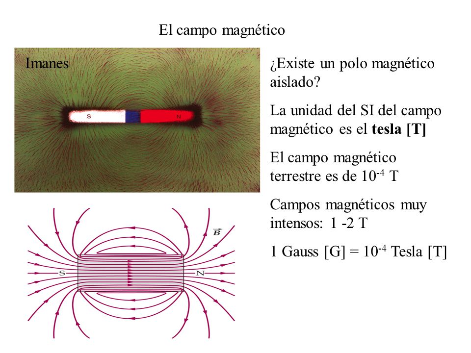 El campo magnético Imanes. ¿Existe un polo magnético aislado La unidad del SI del campo magnético es el tesla [T]
