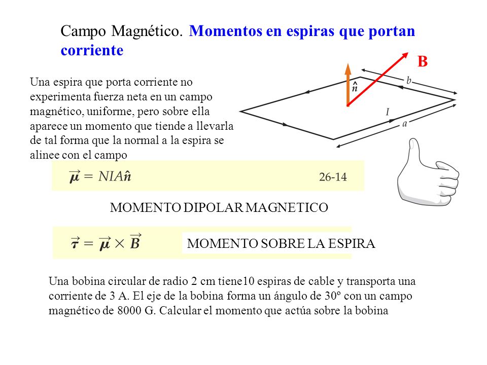 Campo Magnético. Momentos en espiras que portan corriente