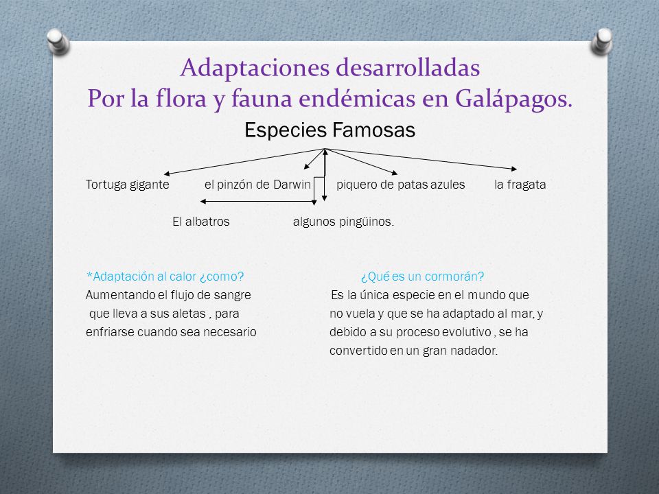 Adaptaciones desarrolladas Por la flora y fauna endémicas en Galápagos.