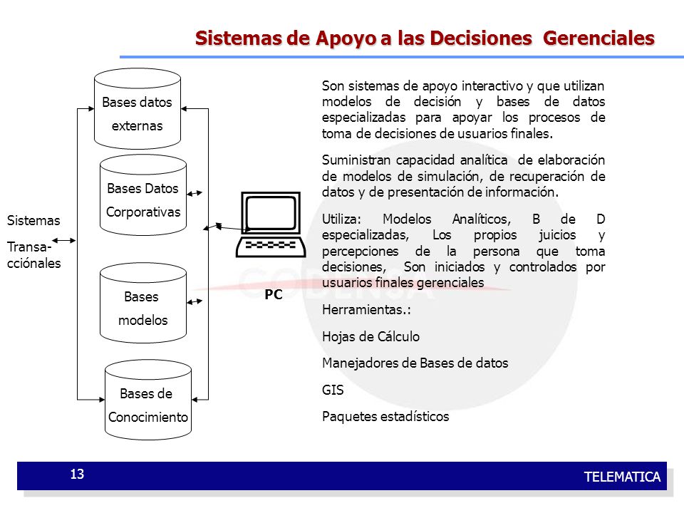  Sistemas de Apoyo a las Decisiones Gerenciales Bases datos externas