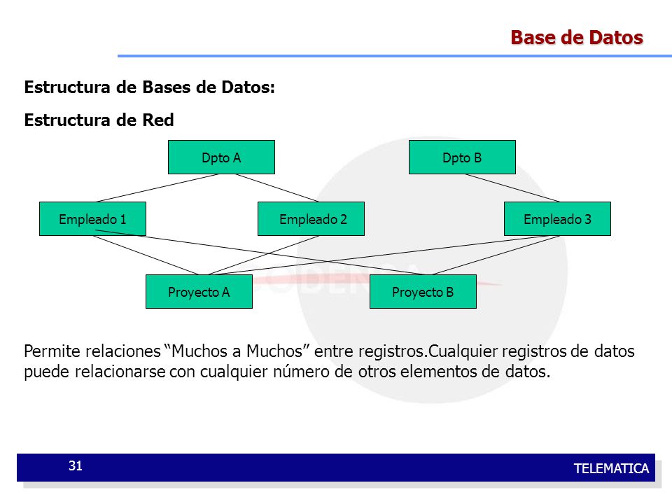Base de Datos Estructura de Bases de Datos: Estructura de Red