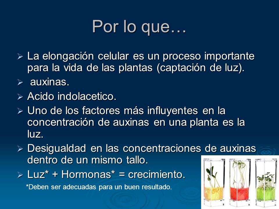 Por lo que… La elongación celular es un proceso importante para la vida de las plantas (captación de luz).