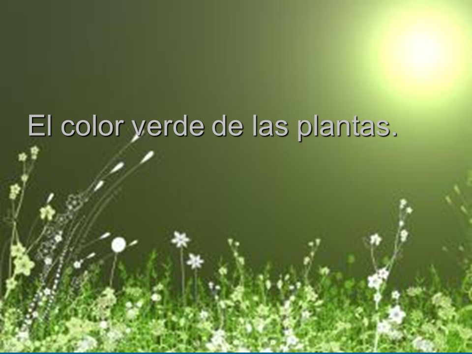 El color verde de las plantas.