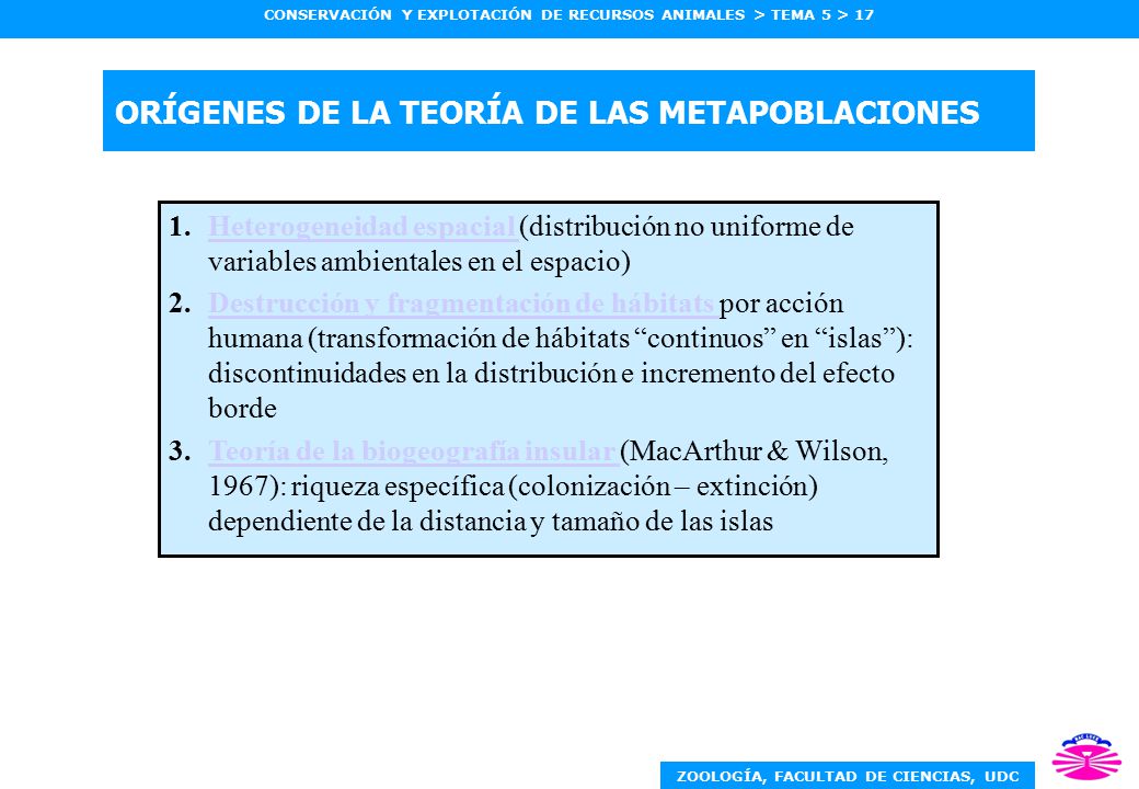ORÍGENES DE LA TEORÍA DE LAS METAPOBLACIONES
