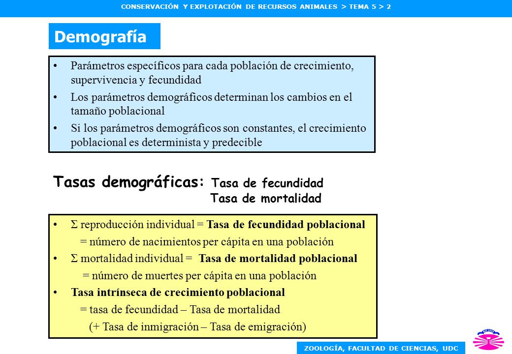 Demografía Tasas demográficas: Tasa de fecundidad Tasa de mortalidad