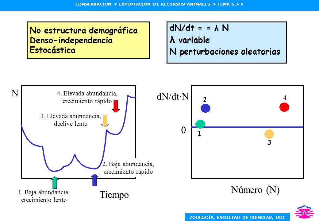 N dN/dt·N Número (N) Tiempo dN/dt = = λ N