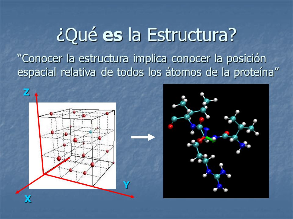 ¿Qué es la Estructura Conocer la estructura implica conocer la posición espacial relativa de todos los átomos de la proteína