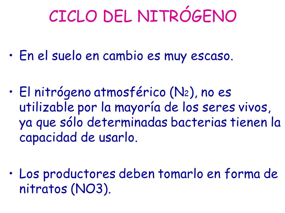 CICLO DEL NITRÓGENO En el suelo en cambio es muy escaso.