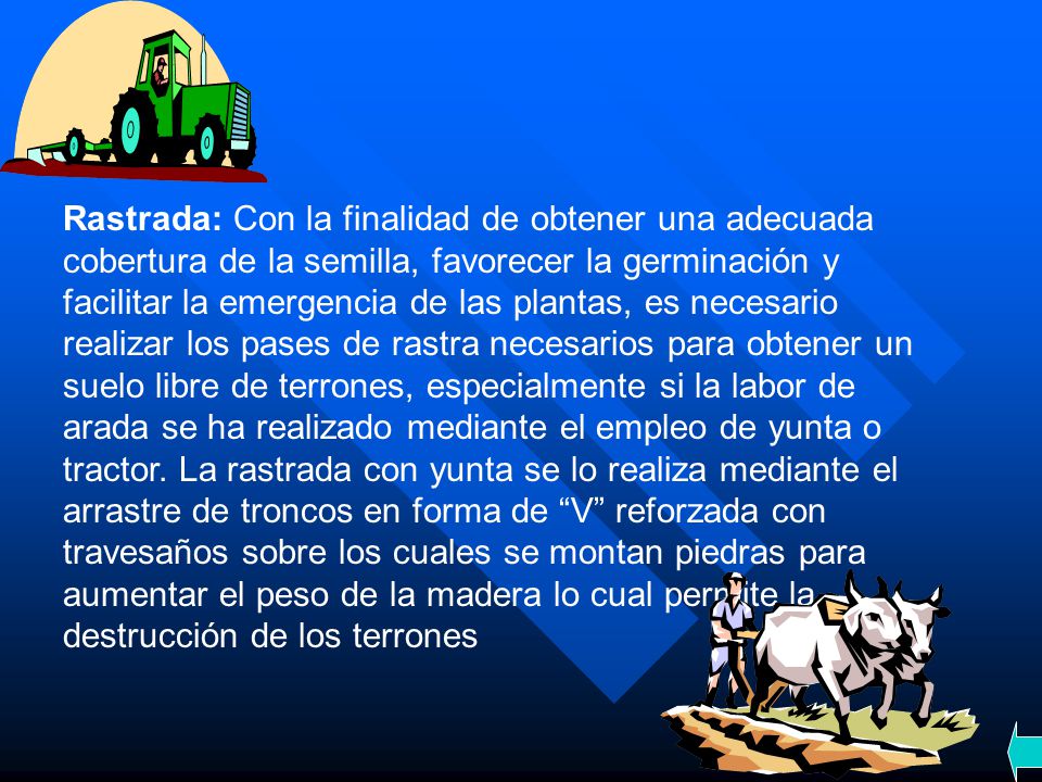 Rastrada: Con la finalidad de obtener una adecuada cobertura de la semilla, favorecer la germinación y facilitar la emergencia de las plantas, es necesario realizar los pases de rastra necesarios para obtener un suelo libre de terrones, especialmente si la labor de arada se ha realizado mediante el empleo de yunta o tractor.