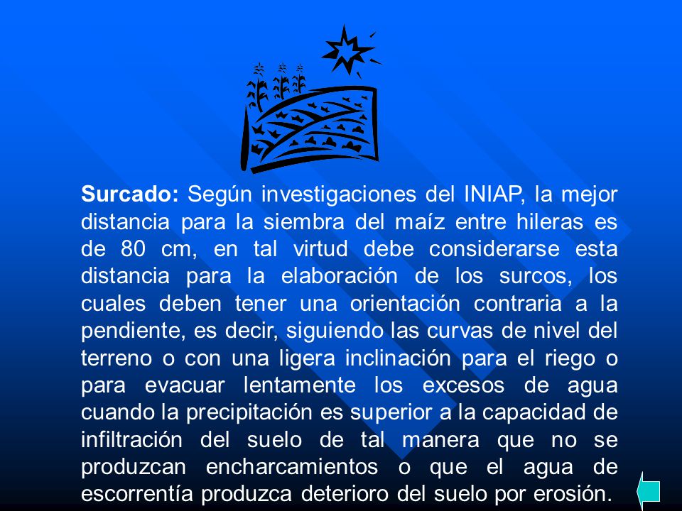 Surcado: Según investigaciones del INIAP, la mejor distancia para la siembra del maíz entre hileras es de 80 cm, en tal virtud debe considerarse esta distancia para la elaboración de los surcos, los cuales deben tener una orientación contraria a la pendiente, es decir, siguiendo las curvas de nivel del terreno o con una ligera inclinación para el riego o para evacuar lentamente los excesos de agua cuando la precipitación es superior a la capacidad de infiltración del suelo de tal manera que no se produzcan encharcamientos o que el agua de escorrentía produzca deterioro del suelo por erosión.