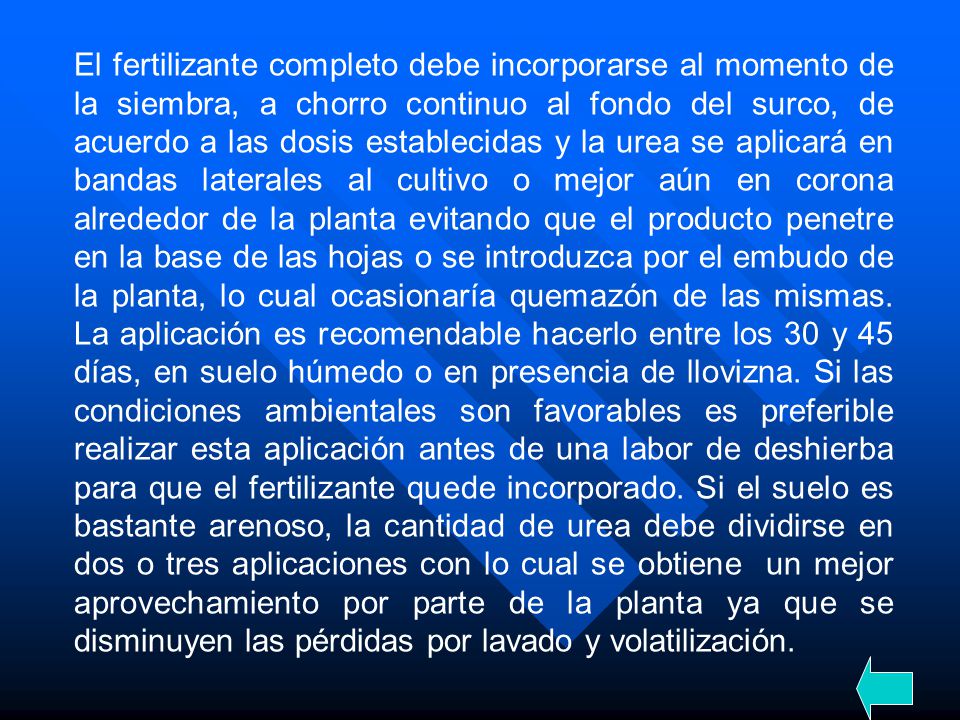 El fertilizante completo debe incorporarse al momento de la siembra, a chorro continuo al fondo del surco, de acuerdo a las dosis establecidas y la urea se aplicará en bandas laterales al cultivo o mejor aún en corona alrededor de la planta evitando que el producto penetre en la base de las hojas o se introduzca por el embudo de la planta, lo cual ocasionaría quemazón de las mismas.