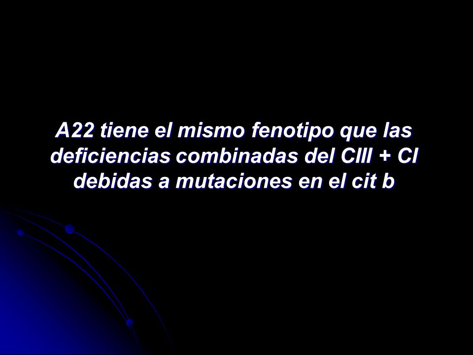 A22 tiene el mismo fenotipo que las deficiencias combinadas del CIII + CI debidas a mutaciones en el cit b