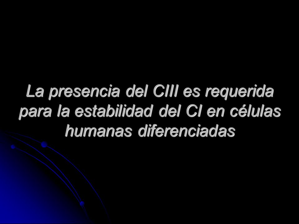 La presencia del CIII es requerida para la estabilidad del CI en células humanas diferenciadas