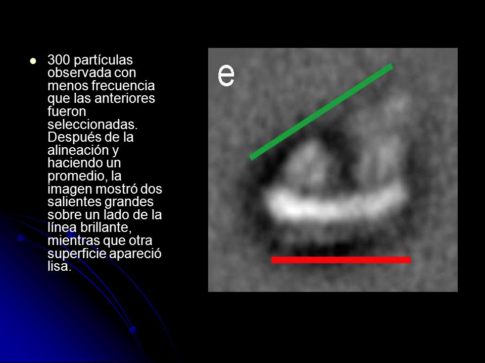 300 partículas observada con menos frecuencia que las anteriores fueron seleccionadas.