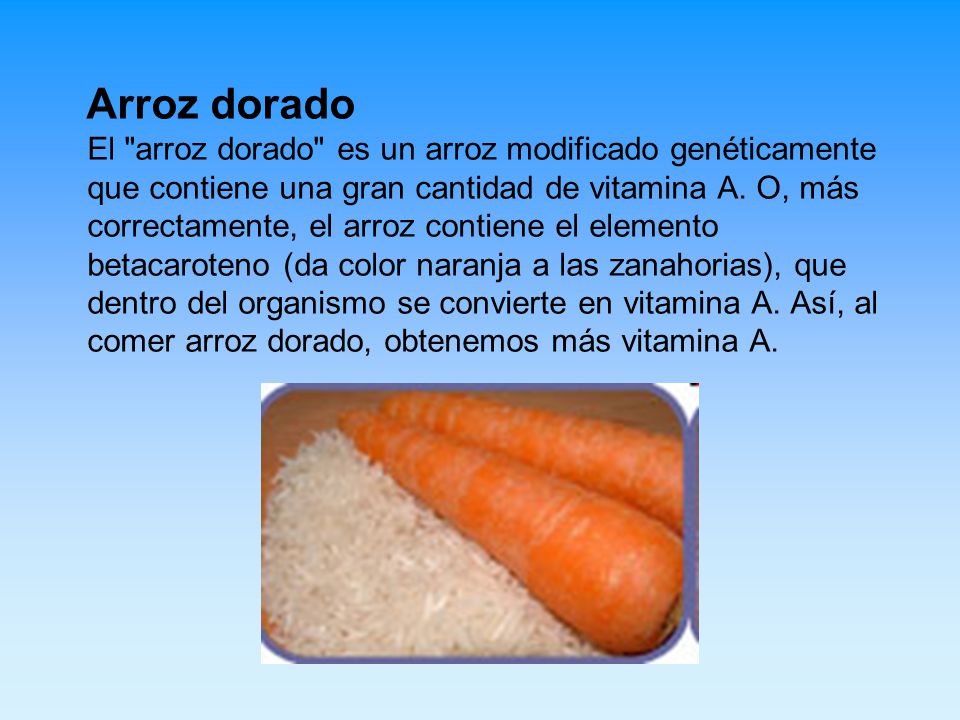 Arroz dorado El arroz dorado es un arroz modificado genéticamente que contiene una gran cantidad de vitamina A.
