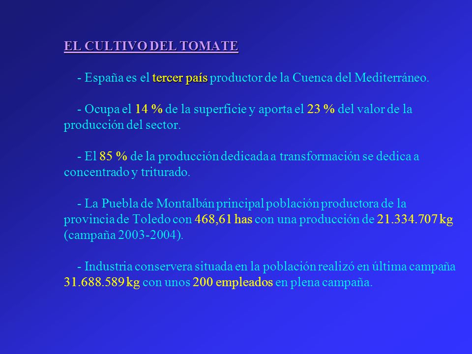 EL CULTIVO DEL TOMATE - España es el tercer país productor de la Cuenca del Mediterráneo.