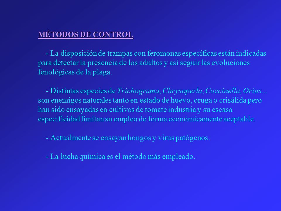 MÉTODOS DE CONTROL - La disposición de trampas con feromonas específicas están indicadas para detectar la presencia de los adultos y así seguir las evoluciones fenológicas de la plaga.