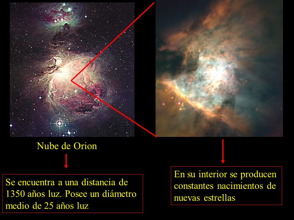 Nube de Orion En su interior se producen constantes nacimientos de