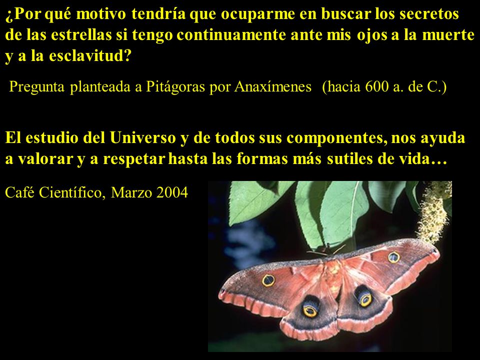 ¿Por qué motivo tendría que ocuparme en buscar los secretos