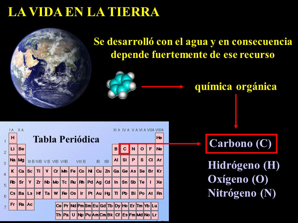 LA VIDA EN LA TIERRA Carbono (C) Hidrógeno (H) Oxígeno (O)