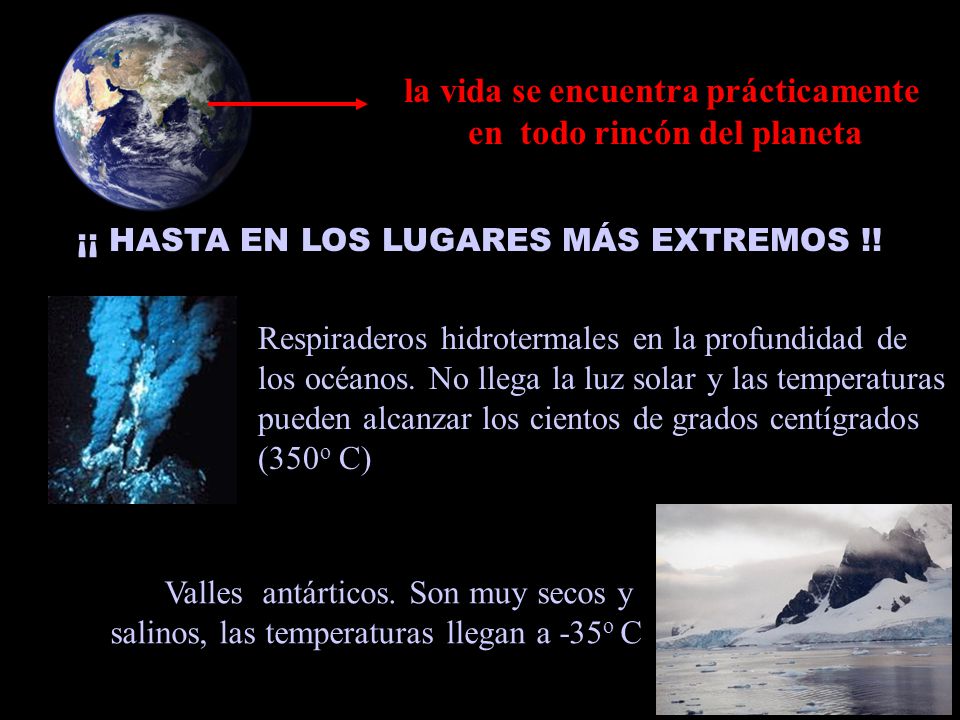 la vida se encuentra prácticamente en todo rincón del planeta