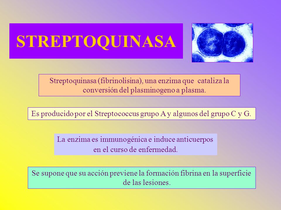 STREPTOQUINASA Streptoquinasa (fibrinolisina), una enzima que cataliza la conversión del plasminogeno a plasma.