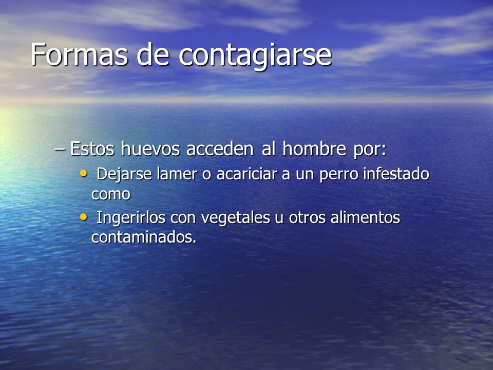 Formas de contagiarse Estos huevos acceden al hombre por: