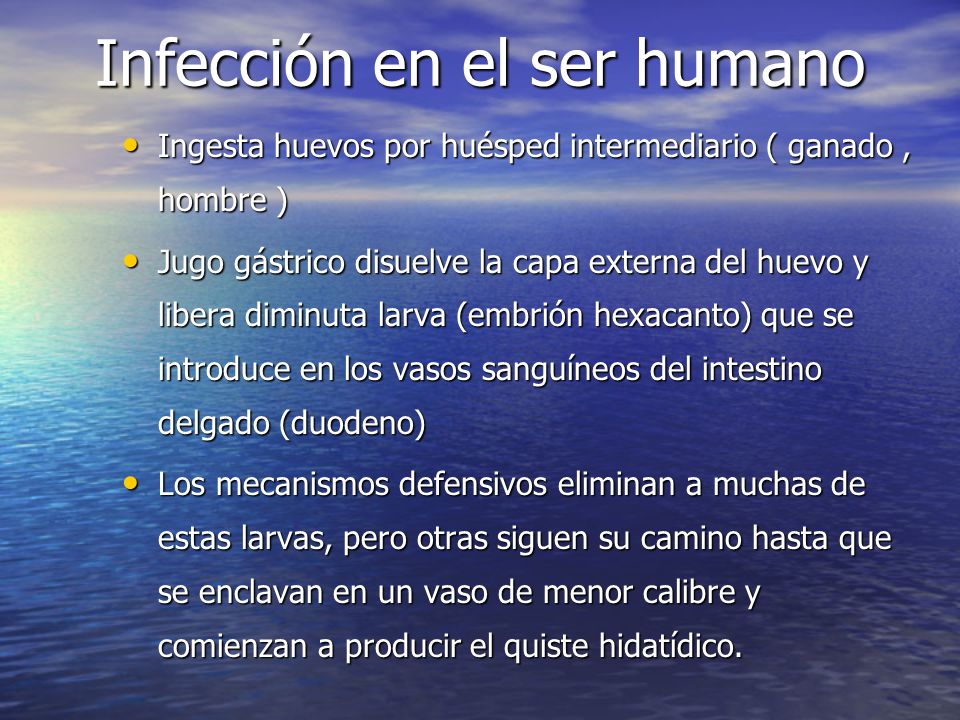 Infección en el ser humano