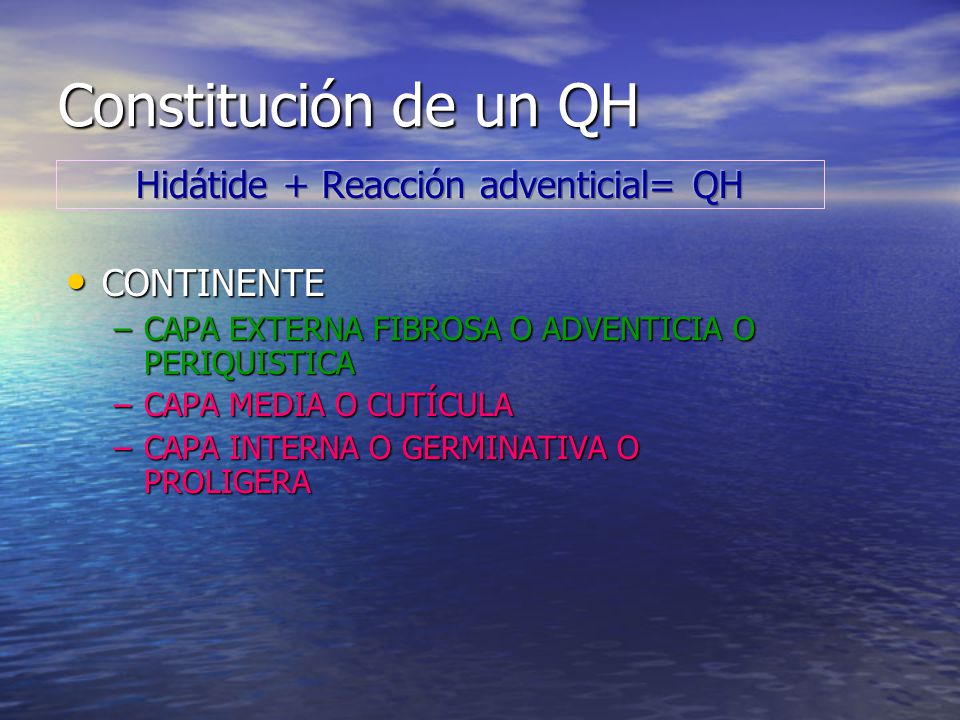 Constitución de un QH Hidátide + Reacción adventicial= QH CONTINENTE