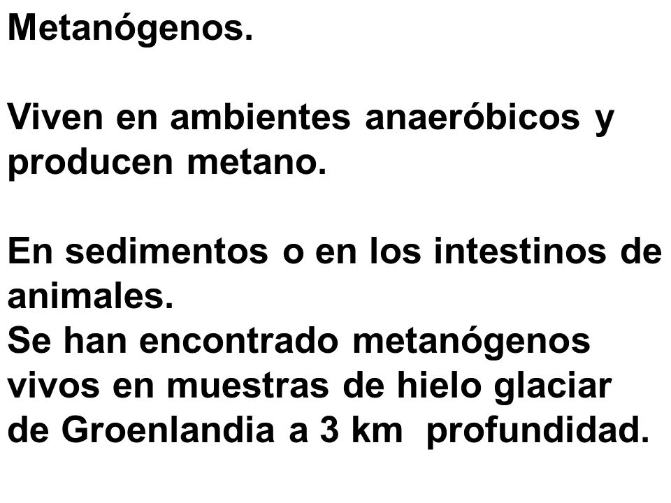 Metanógenos. Viven en ambientes anaeróbicos y producen metano. En sedimentos o en los intestinos de animales.