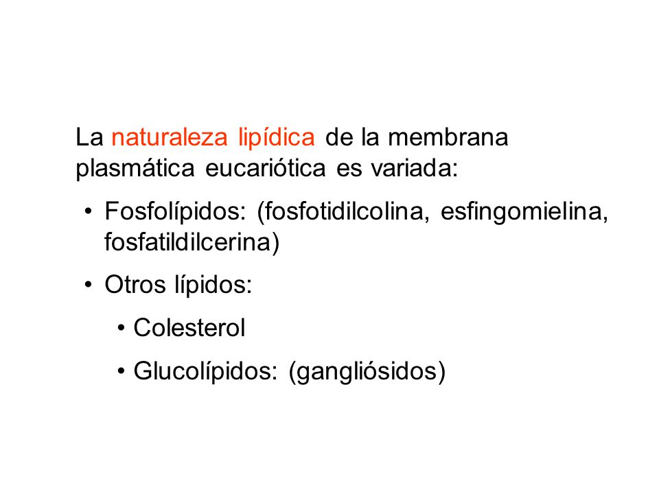 La naturaleza lipídica de la membrana plasmática eucariótica es variada: