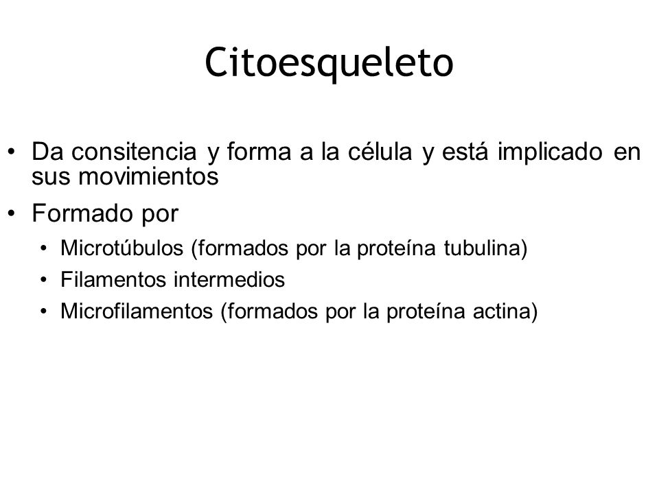 Citoesqueleto Da consitencia y forma a la célula y está implicado en sus movimientos. Formado por.